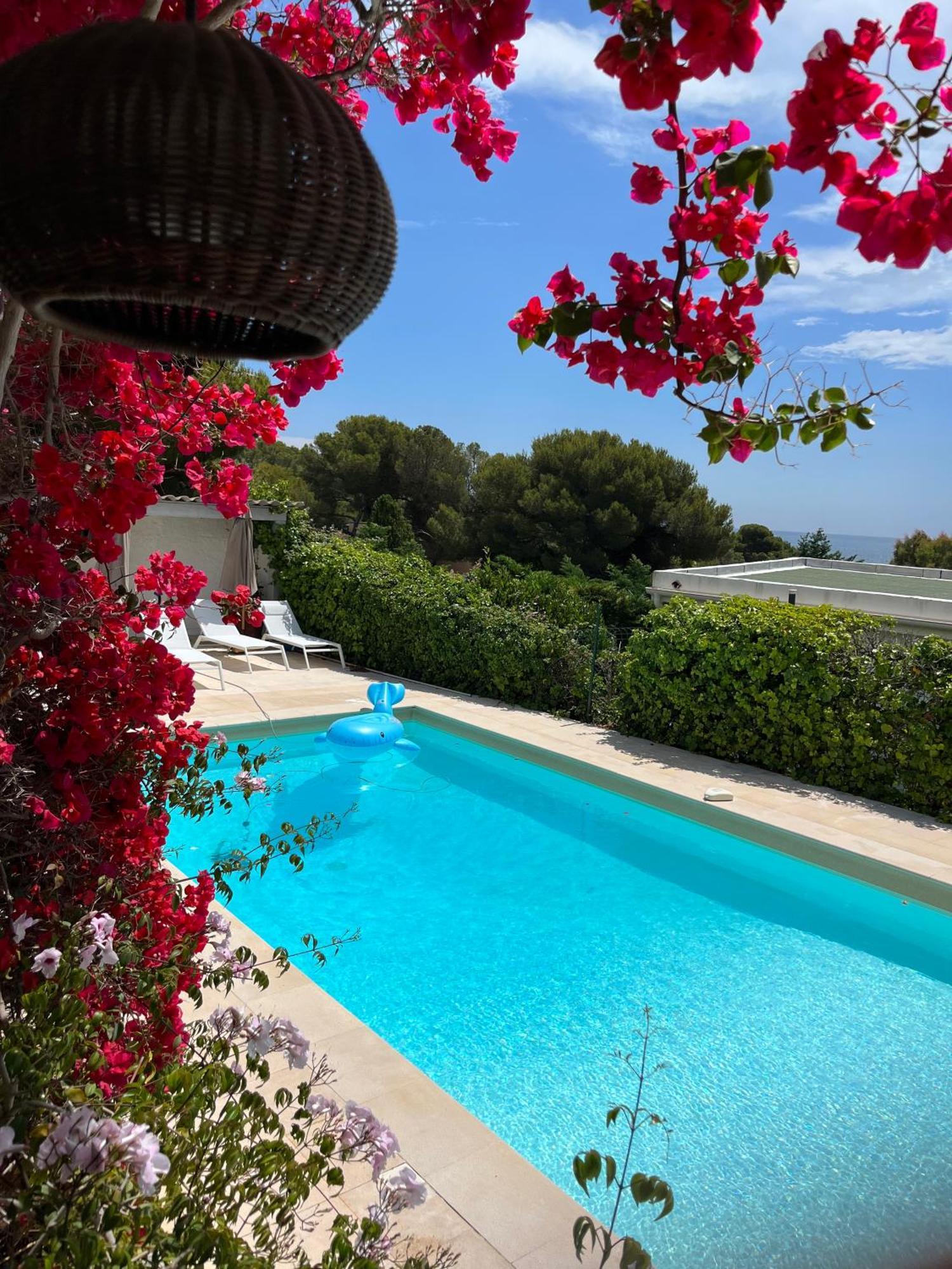 Paradis