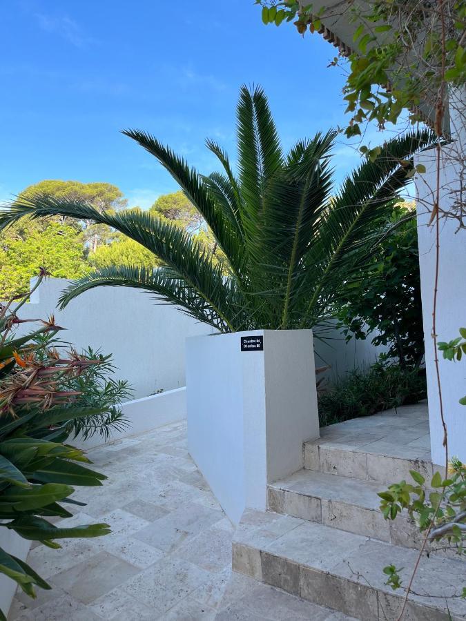 Paradis