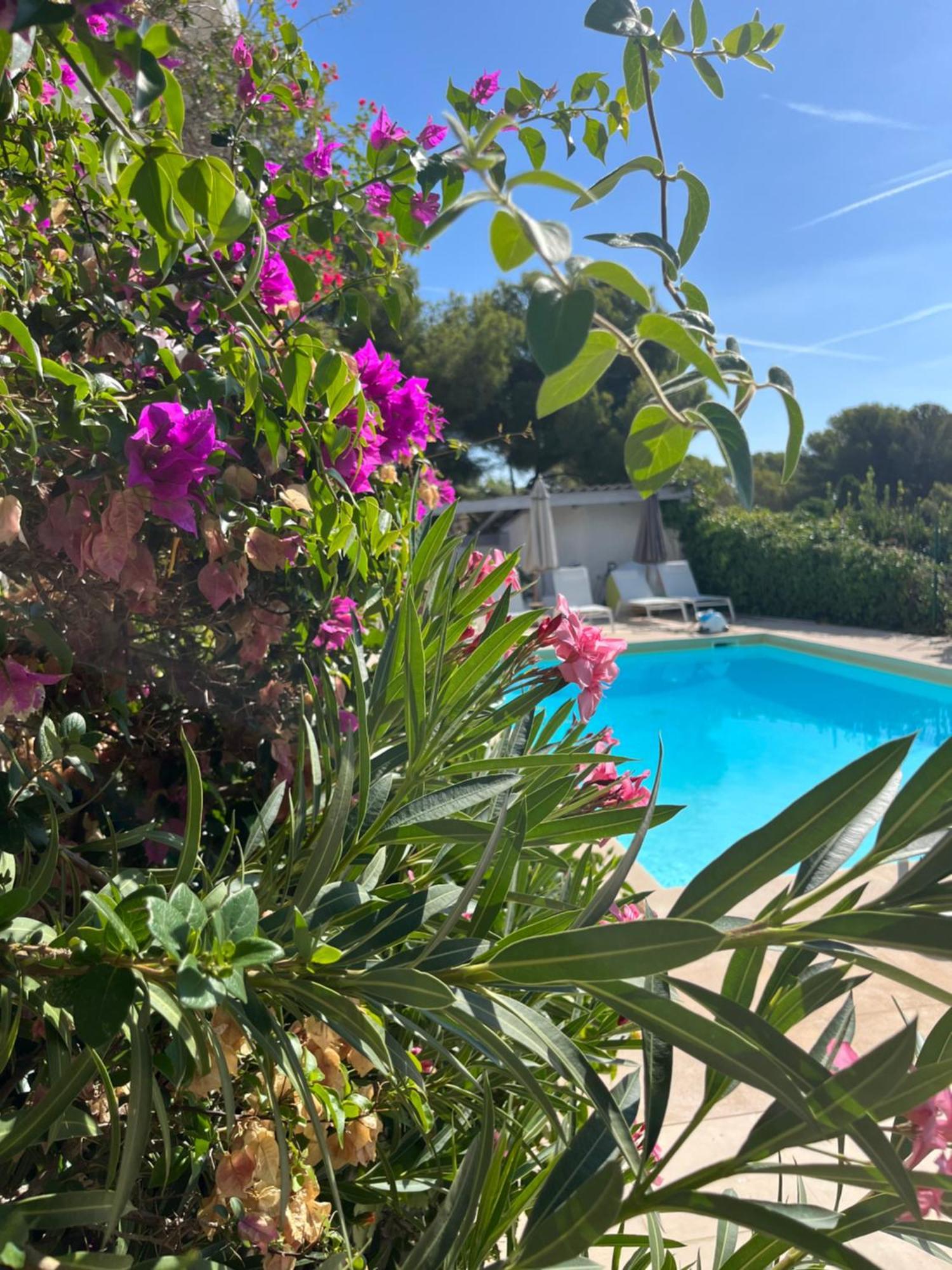 Hotel Paradis
